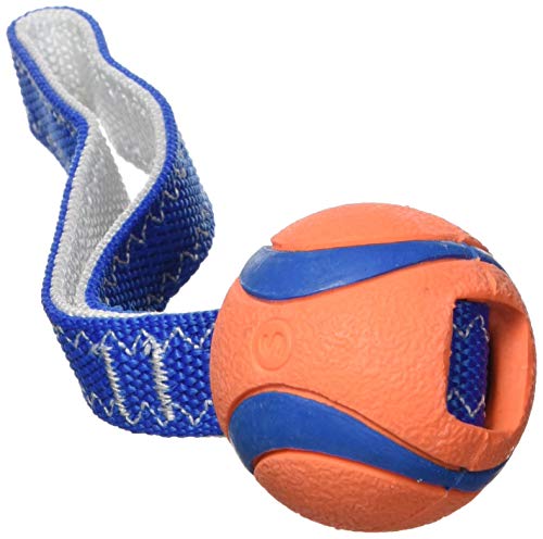 Chuckit! 231101 Ultra Tug Pelota para Perros, Compatible con el Lanzador, S