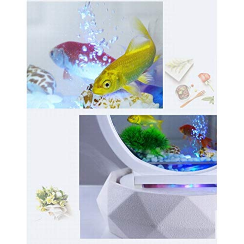 Chunshop Tanque de Peces de Acuario Creativa de Cristal Redondo Goldfish Cilindro de la Sala de Escritorio pequeño ecológica Inicio de Tanque Acuario Kit de pecera