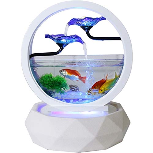 Chunshop Tanque de Peces de Acuario Creativa de Cristal Redondo Goldfish Cilindro de la Sala de Escritorio pequeño ecológica Inicio de Tanque Acuario Kit de pecera