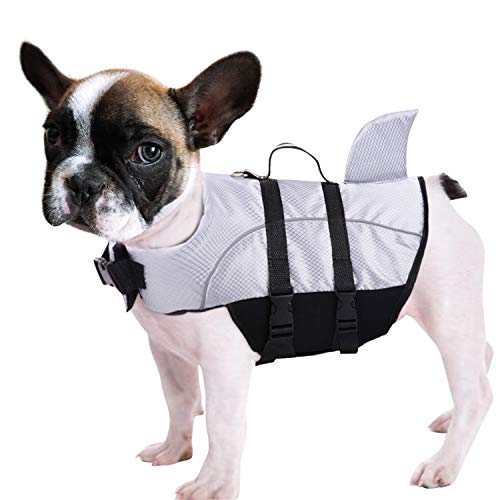 CITÉTOILE Chaleco Salvavidas Ajustable para Perros Pequeños, Ligero, Transpirable y Cómodo, los Chalecos Flotantes para Perros con Asa, Buena Flotación para Nadar en Mar/Lago/Río, Gris, M