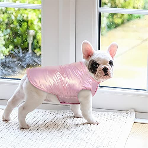 ClearloveWL Perros Abrigo, Linda Ropa de Perro de Perrito cálido Invierno Gato Perros Chaleco Abrigo Impermeable Ropa for Mascotas for pequeños Perros medianos Gatos Ligeros Xs-2xl