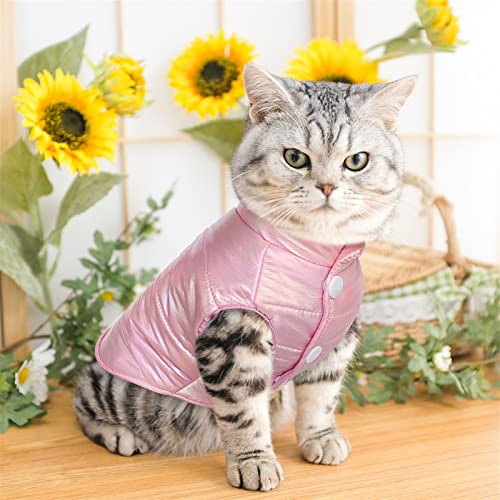 ClearloveWL Perros Abrigo, Linda Ropa de Perro de Perrito cálido Invierno Gato Perros Chaleco Abrigo Impermeable Ropa for Mascotas for pequeños Perros medianos Gatos Ligeros Xs-2xl