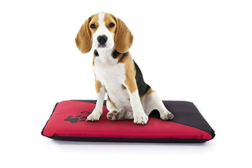 Colchoneta Personalizada para Perros - Impermeable y Resistente - Colchón para Perro Grande, Pequeño y Mediano - Exterior e Interior - Cama Antimordeduras (L - 105 x 75 x 6 CM, Rojo)