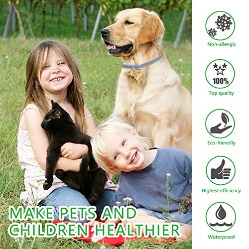 Collar Ajustable Para Pulgas Y Garrapatas Para Perros / Gatos, Collar Antiparasitario Para Gatos Y Perros, Collares Para Control De Plagas De Mascotas, Protección De 8 Meses, Resistente Al Agua