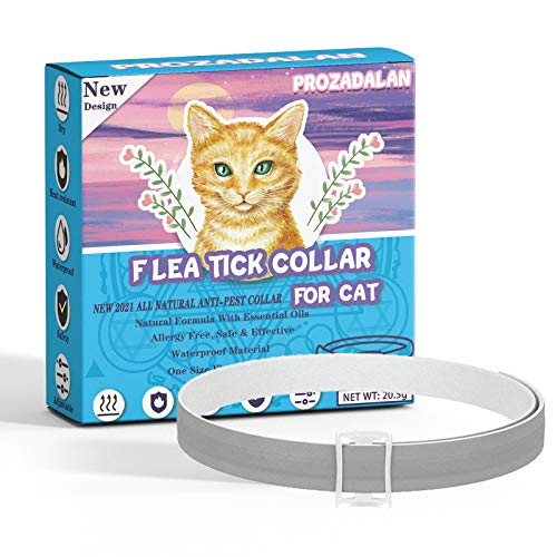 Collar Antiparasitario Gatos, 35cm Ajustable Collares Antipulgas para Gatos, 100% Naturales Antiparasitarios Gatos Collar, 8 Meses de Protección para Gatos, Repelen Eficazmente Piojos, Pulgas