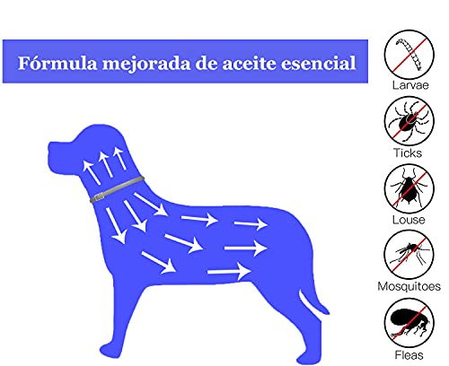 Collar Antiparasitos Perro Impermeable para Mascota Tamaño Ajustable Fórmula Mejorada de aceites Esenciales