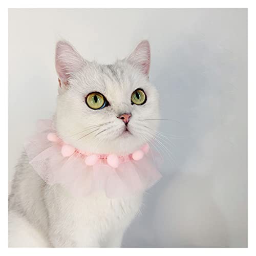 Collar de gato Lindo encaje princesa gato collar mascota collar accesorios cachorro chihuahua gatito collares con bolas ajustables mascotas Bowtie regalo Garantiza seguridad, comodidad, transpirabilid