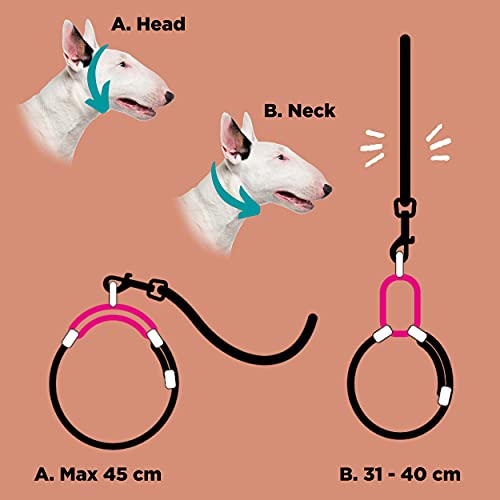 Collar de Martingala Ancho para Perros Medianos / Grandes como Galgo Anti Escape