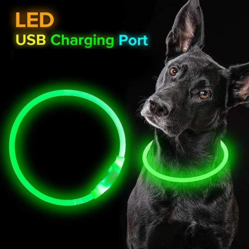 Collar de Perro con luz LED, Recargable por USB, Collar de Perro LED, Resistente al Agua, Luminoso, Collar de Perro y Longitud Ajustable con Tres Modos de iluminación para Perros y Gatos (Green)