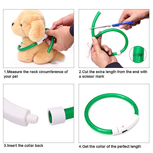 Collar de Perro con luz LED, Recargable por USB, Collar de Perro LED, Resistente al Agua, Luminoso, Collar de Perro y Longitud Ajustable con Tres Modos de iluminación para Perros y Gatos (Green)