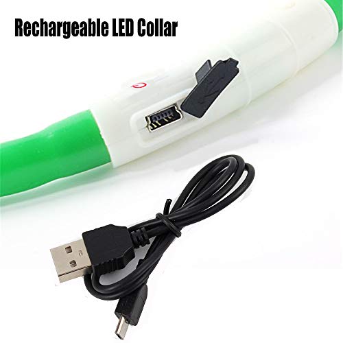 Collar de Perro con luz LED, Recargable por USB, Collar de Perro LED, Resistente al Agua, Luminoso, Collar de Perro y Longitud Ajustable con Tres Modos de iluminación para Perros y Gatos (Green)