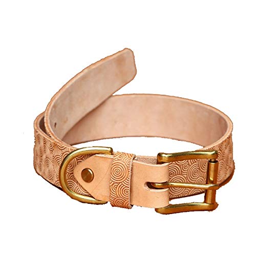 Collar de perro de cuero Herrajes de aleación de cuero Anillo en D doble Mejor for perros medianos grandes y extra grandes, Golden Retriever, Labrador, collares for perros premium y accesorios para pe