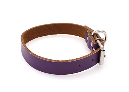 Collar de piel para perros pequeños, medianos y grandes, tamaño XL, color morado