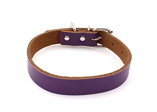 Collar de piel para perros pequeños, medianos y grandes, tamaño XL, color morado