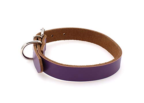 Collar de piel para perros pequeños, medianos y grandes, tamaño XL, color morado