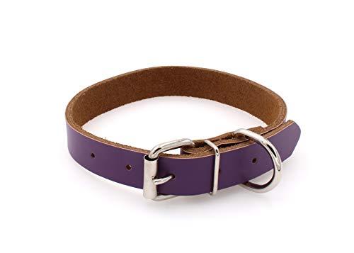 Collar de piel para perros pequeños, medianos y grandes, tamaño XL, color morado