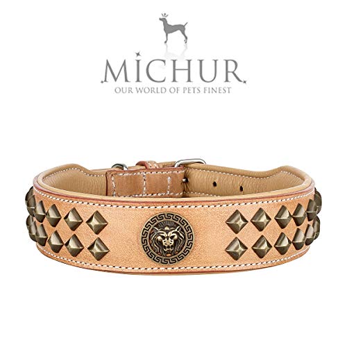 Collar MICHUR Diego Beige en Cuero para Perro, Collar de Cuero para Perro, Cuero, Disponible con aplicación de Cabeza de león, Remaches en Acabado Aklt-latón, Oro Braun Beige, en Varios tamaños