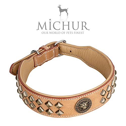 Collar MICHUR Diego Beige en Cuero para Perro, Collar de Cuero para Perro, Cuero, Disponible con aplicación de Cabeza de león, Remaches en Acabado Aklt-latón, Oro Braun Beige, en Varios tamaños