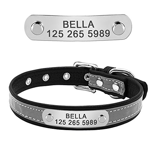 Collar para perro Berry suave acolchado personalizado – grabado personalizado perro ID collares con placa de nombre – Collar reflectante para perro gato para perros pequeños y medianos – ESA ID TAG