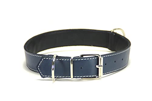 Collar para Perro de Piel, Perros pequeños, medianos y Grandes, Ancho y Resistente, Collares en Color marrón, Azul Marino, Negro y Rojo (L: Ajustable 36 - 46 CM, Ancho 2,5 CM, Marino)