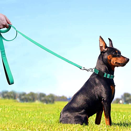 Collar y correa reflectante para perro, Uwenkjie ajustables para mascotas con acolchado de neopreno suave y correa a juego de 4 pies para perros pequeños, medianos y grandes, M, azul cielo