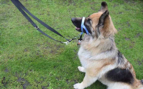 Collares para perros, cabestro para adiestramiento de perros, herramienta de adiestramiento para tirar de perros.