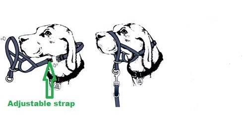 Collares para perros, cabestro para adiestramiento de perros, herramienta de adiestramiento para tirar de perros.