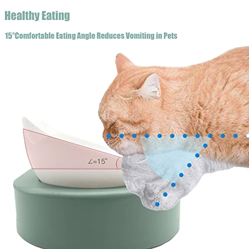 Comedero Gato,2 en 1 Comederos de Gatos con Bebedero Automático,15°InclinaciónTazón de Alimentación para Gatos y Perros,Comedero Gato para Evita Vomitar para Gatos y Cachorros