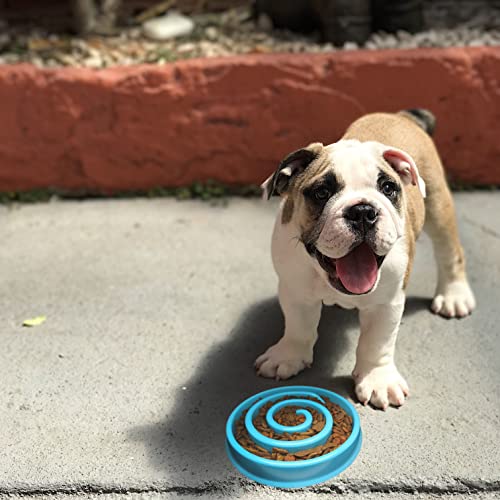 Comedero Perro Gato, Antivoracidad, ansioso. Cuenco, Bebedero, Bowl para Mascotas, Medianas, pequeñas. Tazón Lento Divertido Incluye Pelota Juguete, para Limpiar los Dientes y Buscar premios.