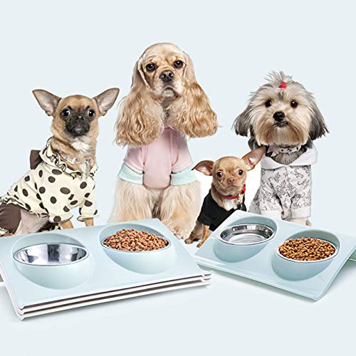 Comedero Plato para Gatos,Animal Mascotas Cuencos Durable Comedero Doble de Acero Inoxidable,con Diseño Antideslizante y Antiderrames,para Perros y Mascotas, alimentador de Agua para Gatos y Cachorros