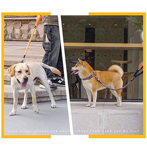 Correa de Adiestramiento para Perros Correa de Perro retráctil Elegante Altamente estirado sin enredar Correas de Mascotas Que Funcionan la Cuerda de tracción del Entrenamiento for los Perros Grandes