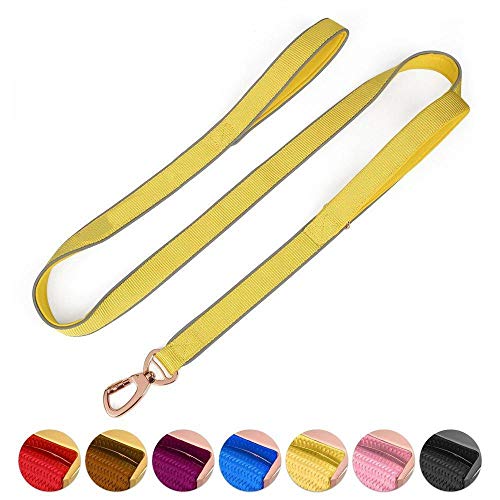 Correa de Perro Doble asa de Correa del Perro de Manilla Doble for Trabajo Pesado Suave Acolchado Reflectante Cable de tracción Perro diseñada línea telescópica (Color : Yellow, Size : L)