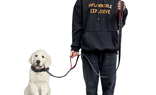 Correa para Perro, Correa de Cuerda para Perro con Dos Asas Acolchadas Suaves, Cables Reflectantes, Correa de Cuerda de 1,5 m para Perros de Todos Los Tamaños,Negro y Rojo