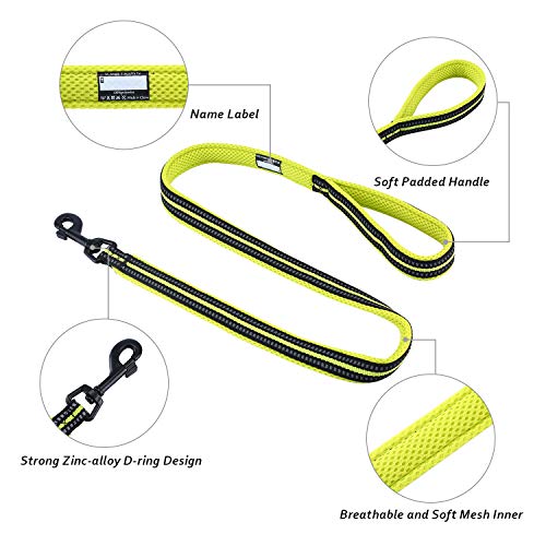 Correa para Perros Pequeños Grandes Medianos Reflectante Acolchado Suave Cómoda de Usar Evitar Fricción Antideslizante Resistente Nylon con Etiqueta de Nombre Verde (S, 110cm)