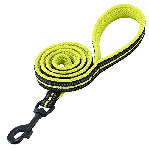 Correa para Perros Pequeños Grandes Medianos Reflectante Acolchado Suave Cómoda de Usar Evitar Fricción Antideslizante Resistente Nylon con Etiqueta de Nombre Verde (S, 110cm)