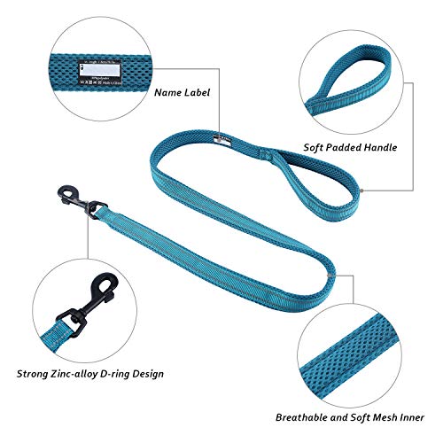 Correa para Perros Pequeños Grandes Medianos Reflectante Acolchado Suave Cómoda de Usar Evitar Fricción Antideslizante Resistente Nylon con Etiqueta de Nombre Azul (S, 110cm)