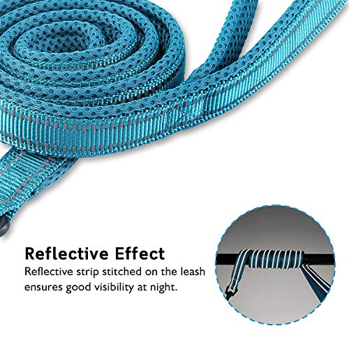 Correa para Perros Pequeños Grandes Medianos Reflectante Acolchado Suave Cómoda de Usar Evitar Fricción Antideslizante Resistente Nylon con Etiqueta de Nombre Azul (S, 110cm)