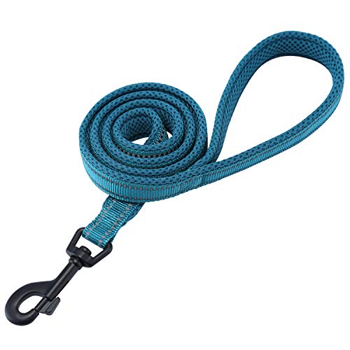 Correa para Perros Pequeños Grandes Medianos Reflectante Acolchado Suave Cómoda de Usar Evitar Fricción Antideslizante Resistente Nylon con Etiqueta de Nombre Azul (S, 110cm)