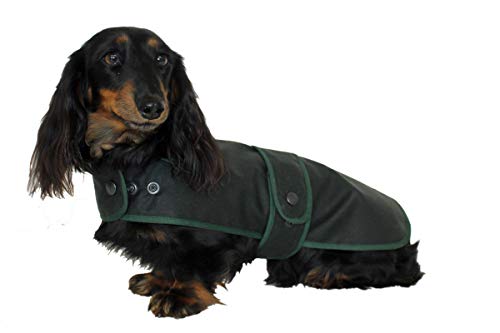 Cosipet Dachshund Hunter - Abrigo