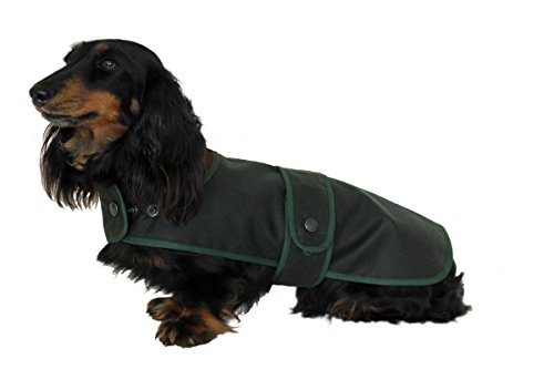 Cosipet Dachshund Hunter - Abrigo