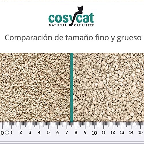 COSYCAT Arena orgánica grumosa para Gatos de Madera, Grueso [Edición Limitada] - 40 l - Desechable en el Inodoro - Arena aglomerante a Base de Plantas - Arena de Madera