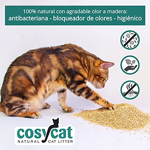 COSYCAT Arena orgánica grumosa para Gatos de Madera, Grueso [Edición Limitada] - 40 l - Desechable en el Inodoro - Arena aglomerante a Base de Plantas - Arena de Madera