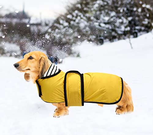 Ctomche Chaqueta de perro salchicha con arnés, chaleco deportivo para perro cálido y acogedor, abrigo de invierno para perro salchicha amarillo XL-Nuevo