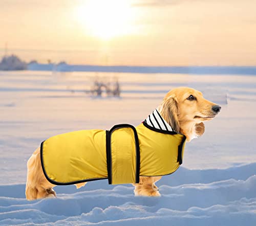 Ctomche Chaqueta de perro salchicha con arnés, chaleco deportivo para perro cálido y acogedor, abrigo de invierno para perro salchicha amarillo XL-Nuevo