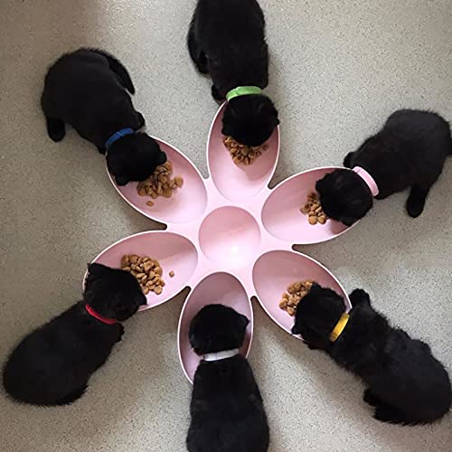 Cuencos para perros 6 en una Comida Gato Cuenco Cachorro Gato Perro Mascota Arena Alimentación Destete Alimentador Tazón Dispensador Plato Accesorios para Perro Rosa