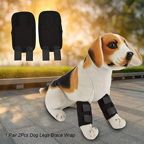 DAUERHAFT Protector de Pierna para Perro, Neopreno SBR, Soporte Frontal para Perros Férula para Mascotas para Perros para Curar el Dolor causado(Black, S Code)