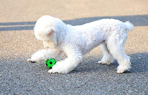 Da.Wa Pelota de Juguete para Mascotas Perros Gatos Los Colores Fluorescentes Color Aleatorio