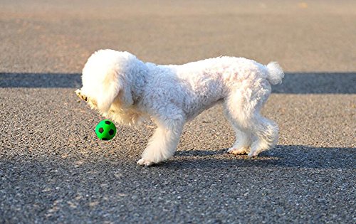 Da.Wa Pelota de Juguete para Mascotas Perros Gatos Los Colores Fluorescentes Color Aleatorio