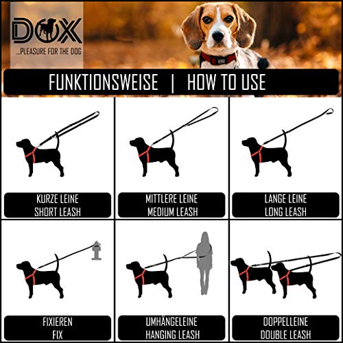 DDOXX Correa Perro Multiposición Nylon Reflectante, Ajustable en 3 tamaños, 2 m | Muchos Colores & Tamaños | para Perros Pequeño, Mediano y Grande | Correa Doble 2 Gato Cachorro | S, Rosado Rosa