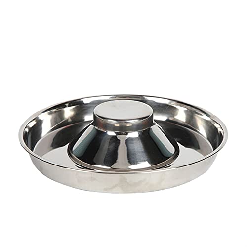 DDSP Mascota Acero Inoxidable Perro tazón Cachorro camada Comida alimentación Plato destete Plateado alimento Inoxidable Agua Cuenco Mascotas alimentador Cuenco Durable (Color : Gold)